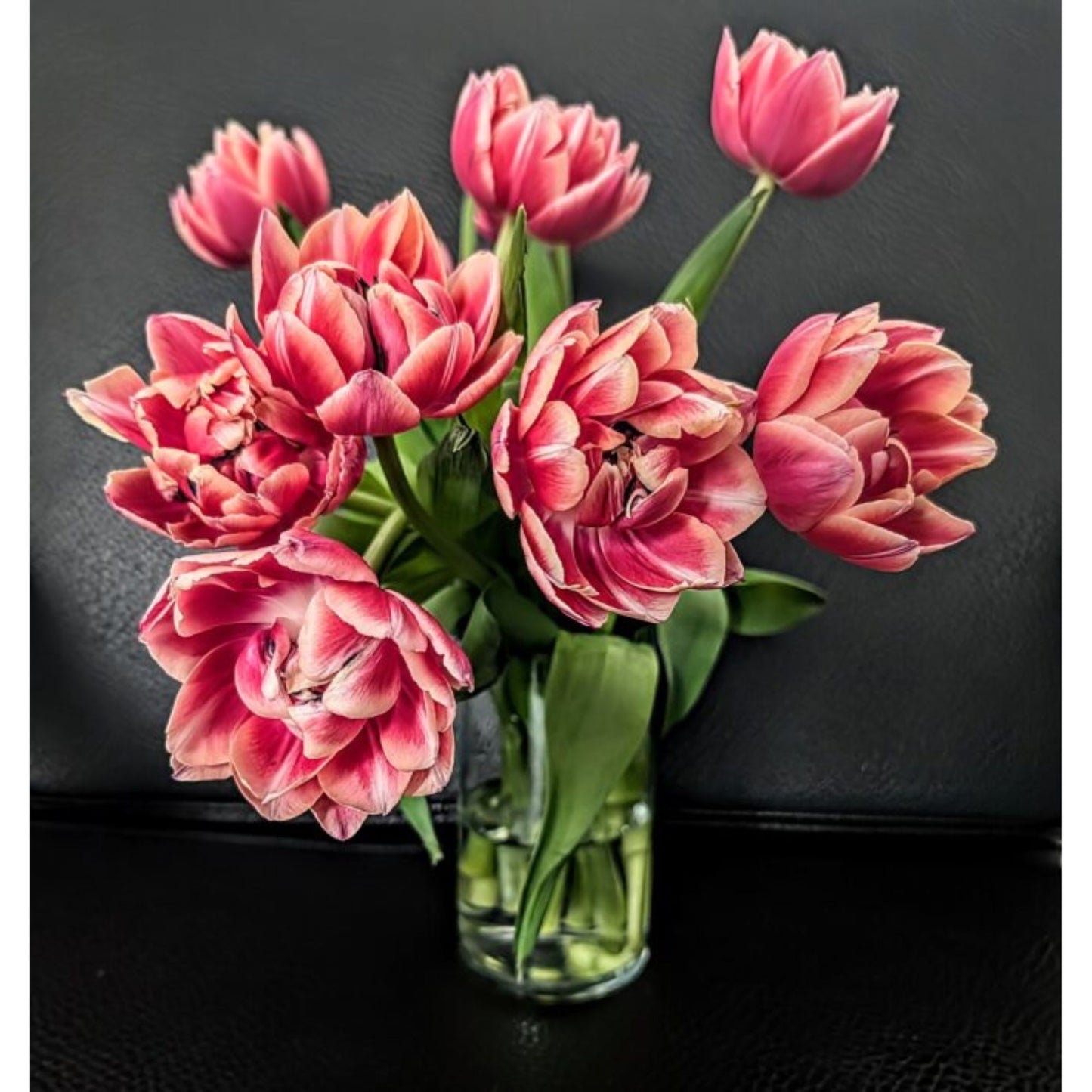 Tulips 1 by Susana Stratton