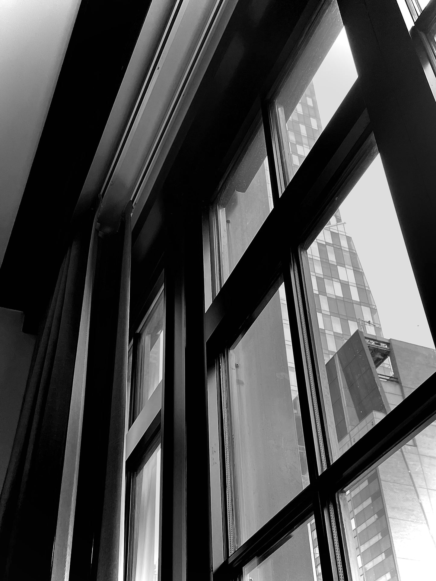 "Conscious Framing #2" Nancy Caton