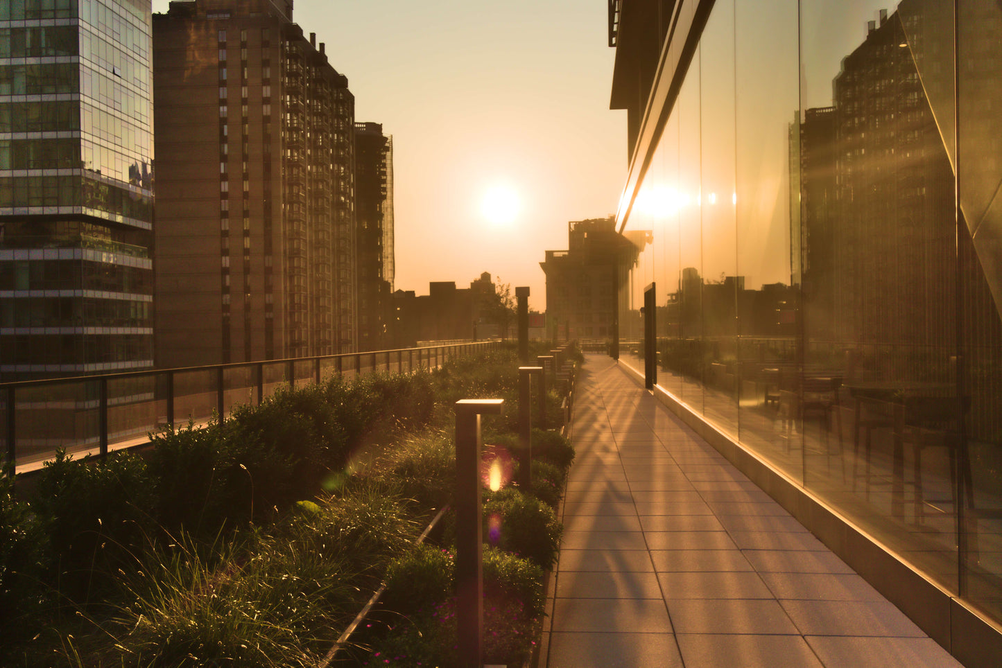 "Golden Hour at IBM" by Steven Kell