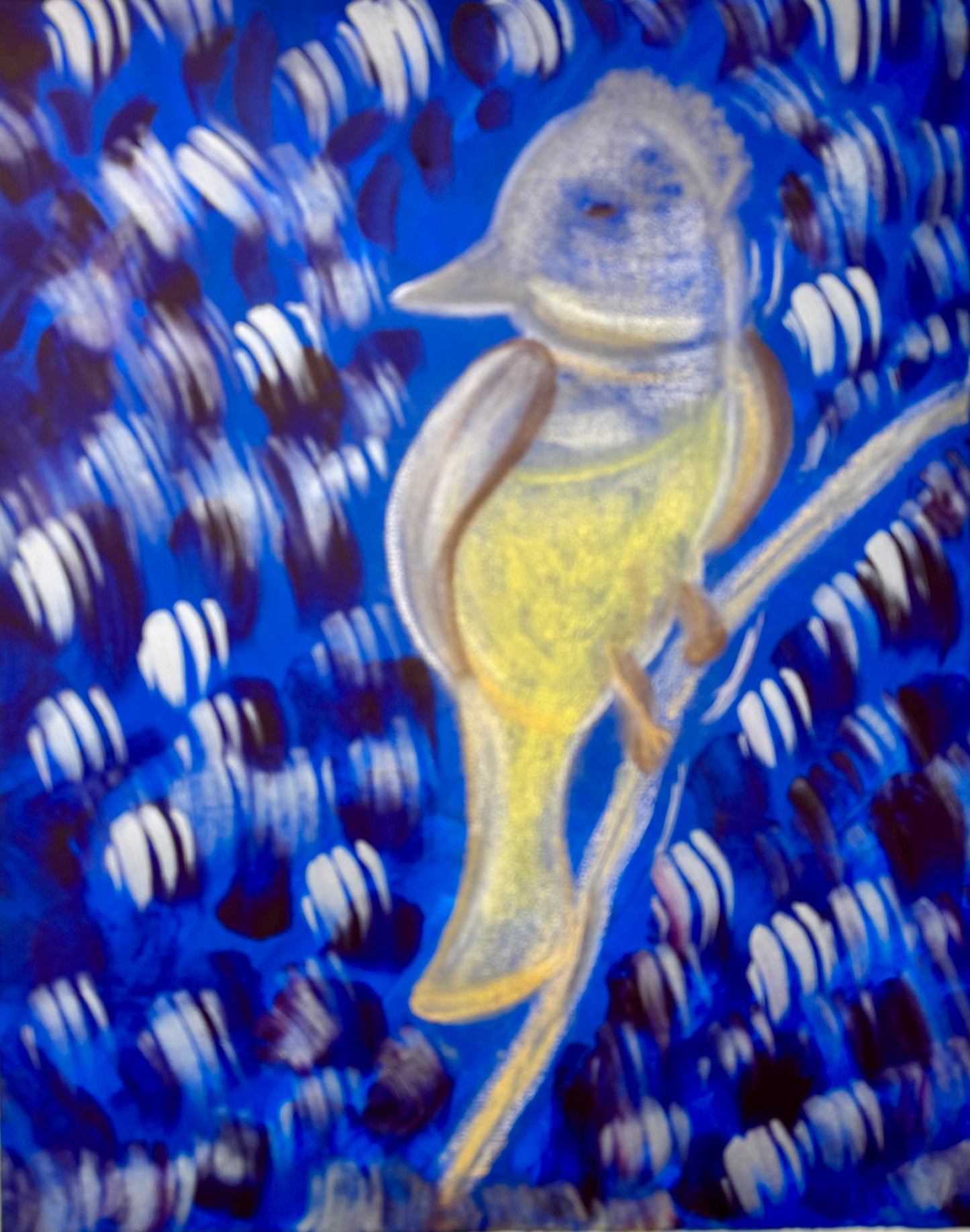"Great Crested Fly Catcher" Kate Tanenbaum