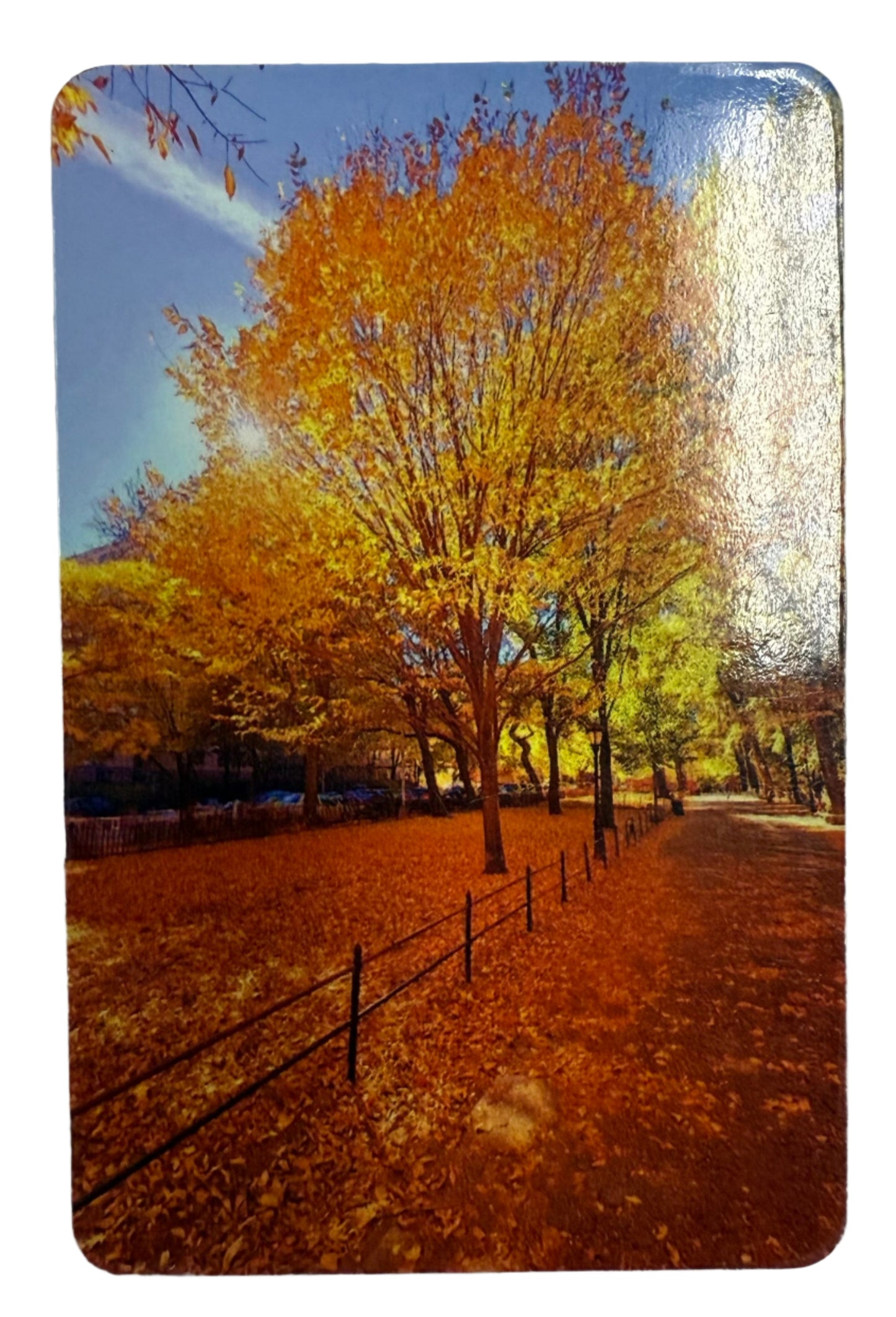 "Autumn Soul" Ingrid Ortiz