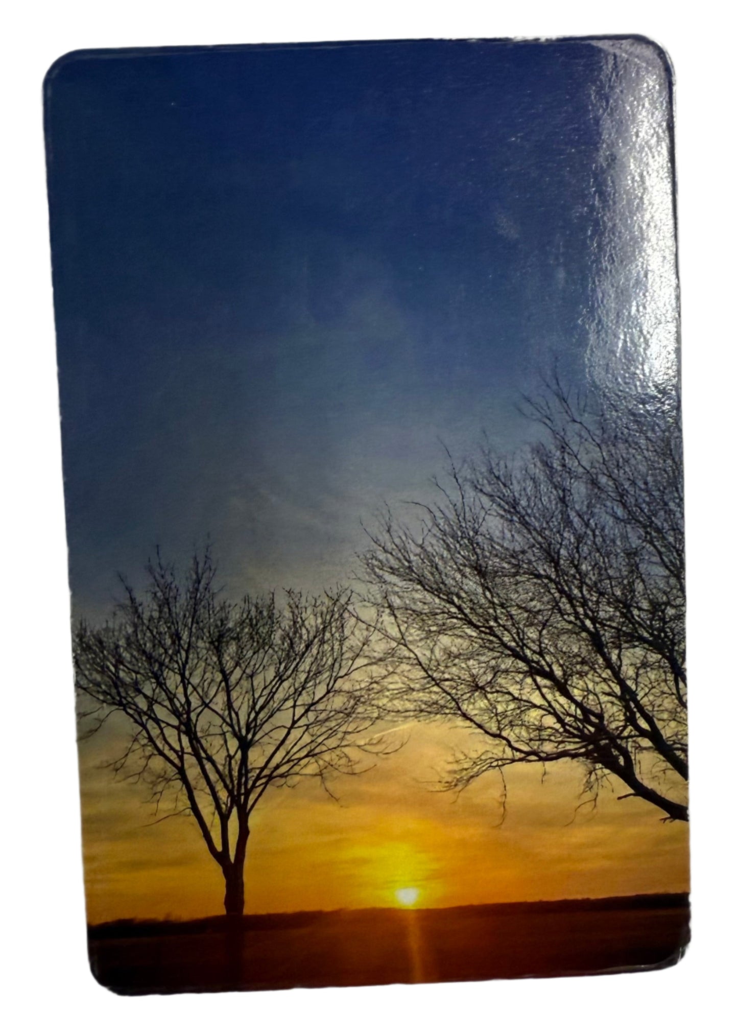 "Winter Sunset" Ingrid Ortiz