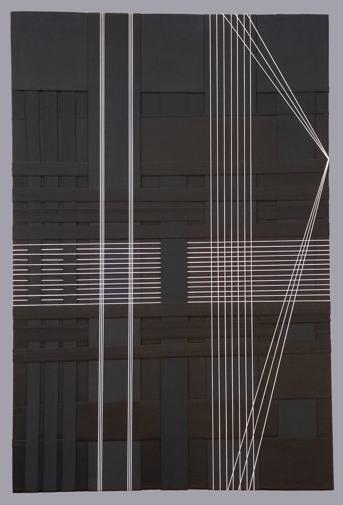 "Linear Compression" Nancy Caton