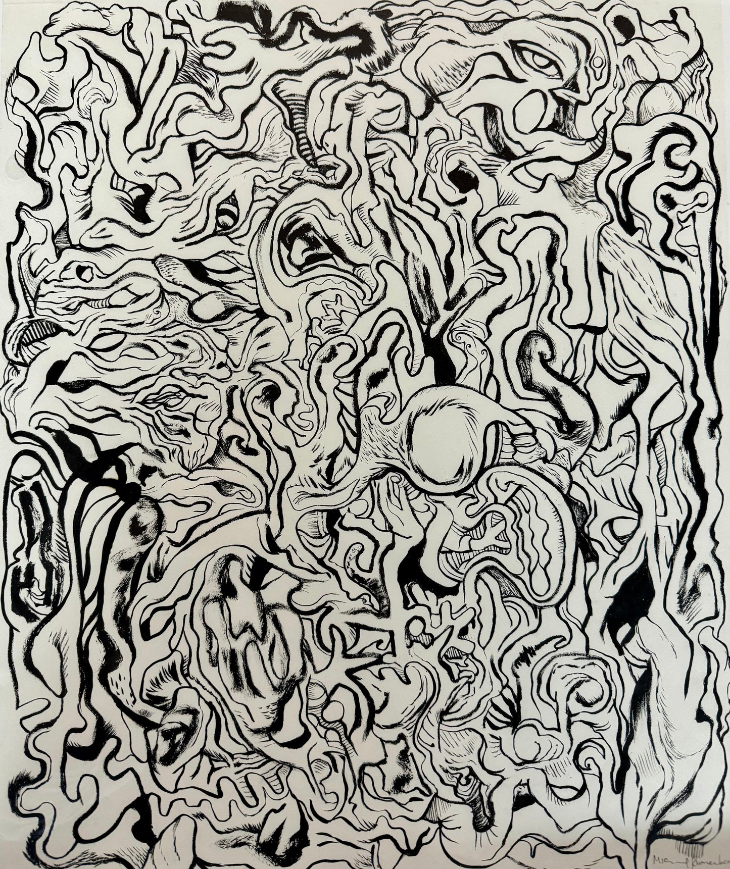 "The Secret Life Of Cells" Michael Kronenberg