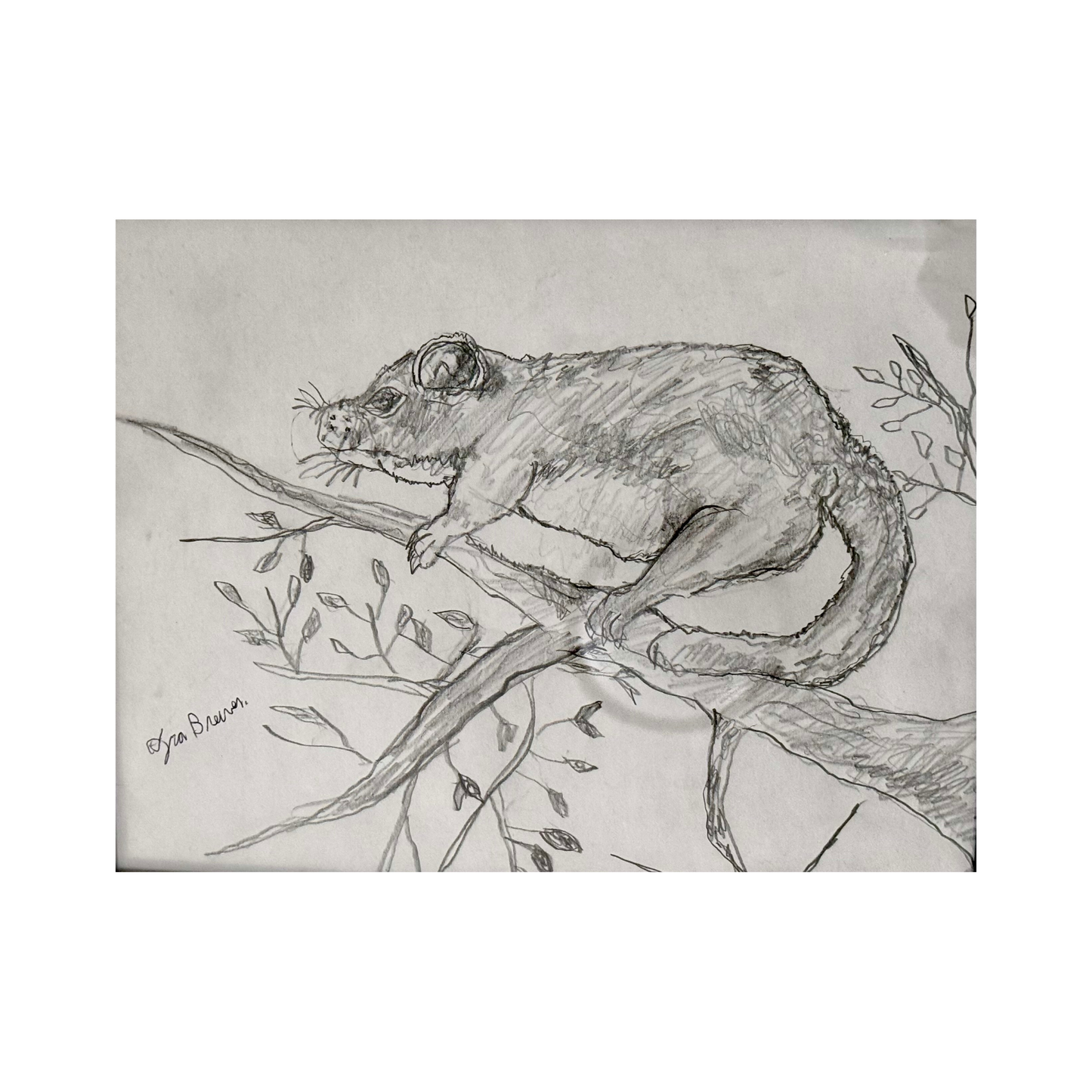"The Rodent" Ira Brewer