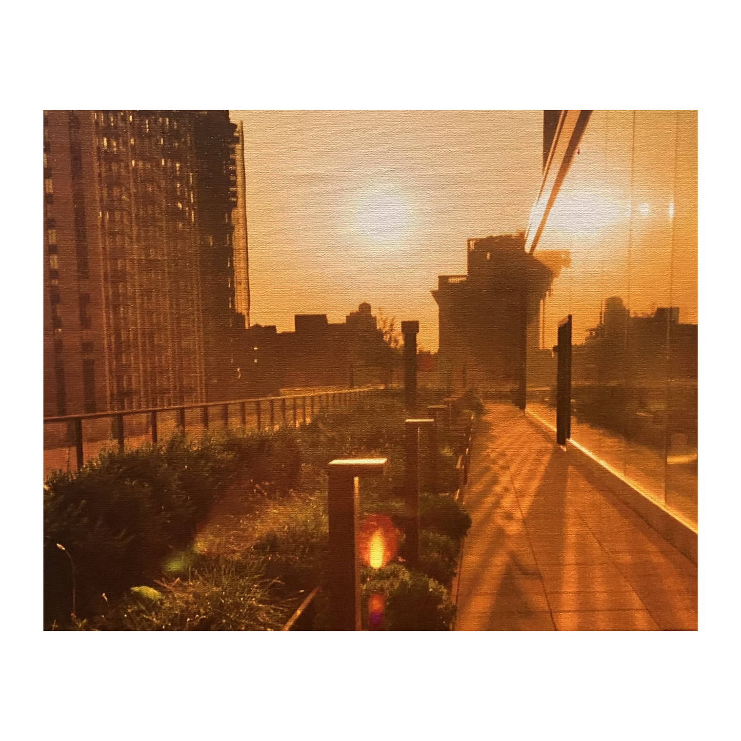 "Golden Hour at IBM" by Steven Kell