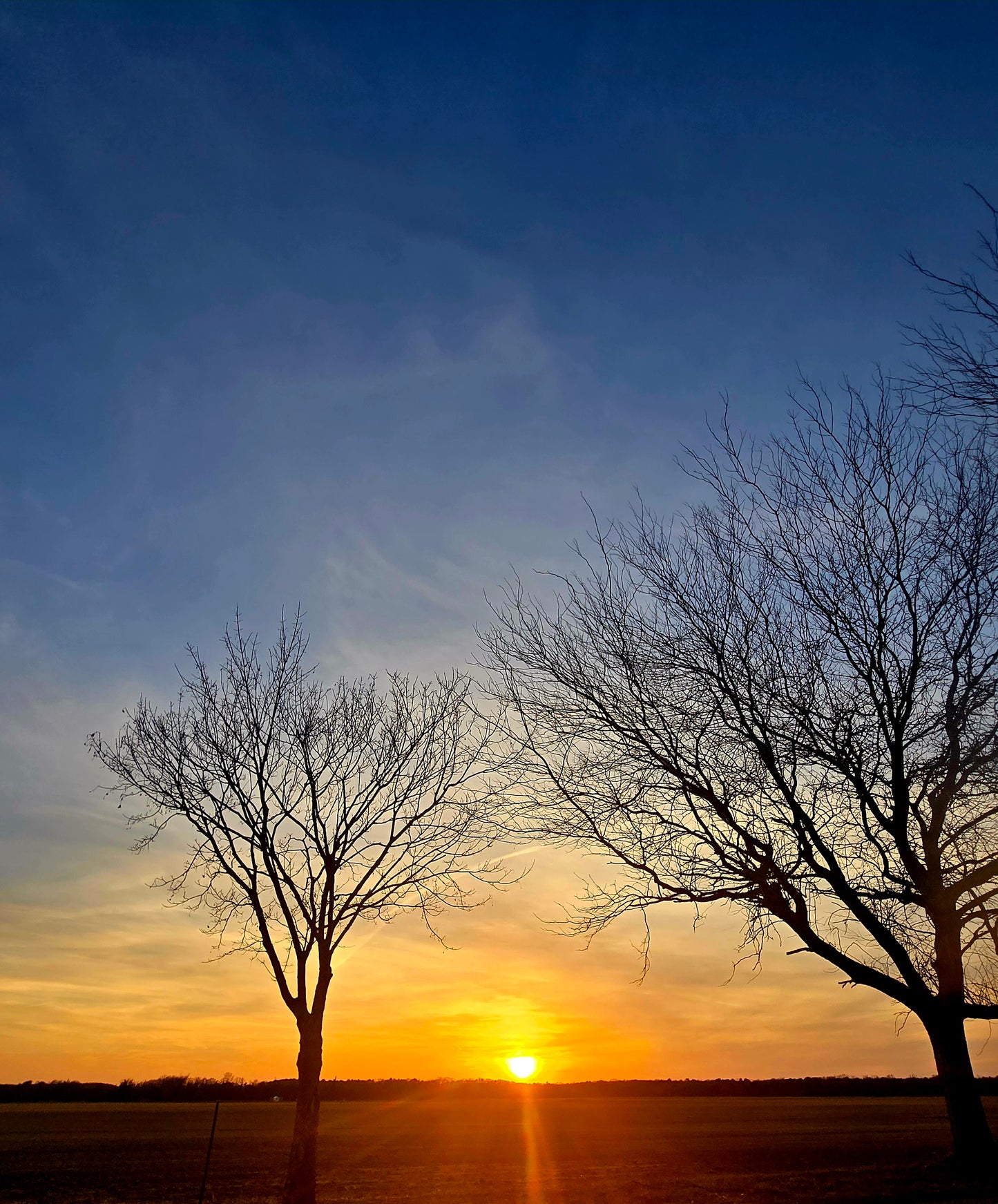"Winter Sunset" Ingrid Ortiz