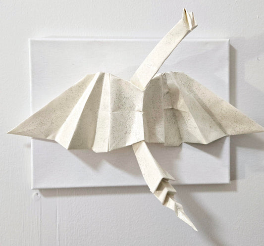 "Dragon Landing" Sarah Ospina