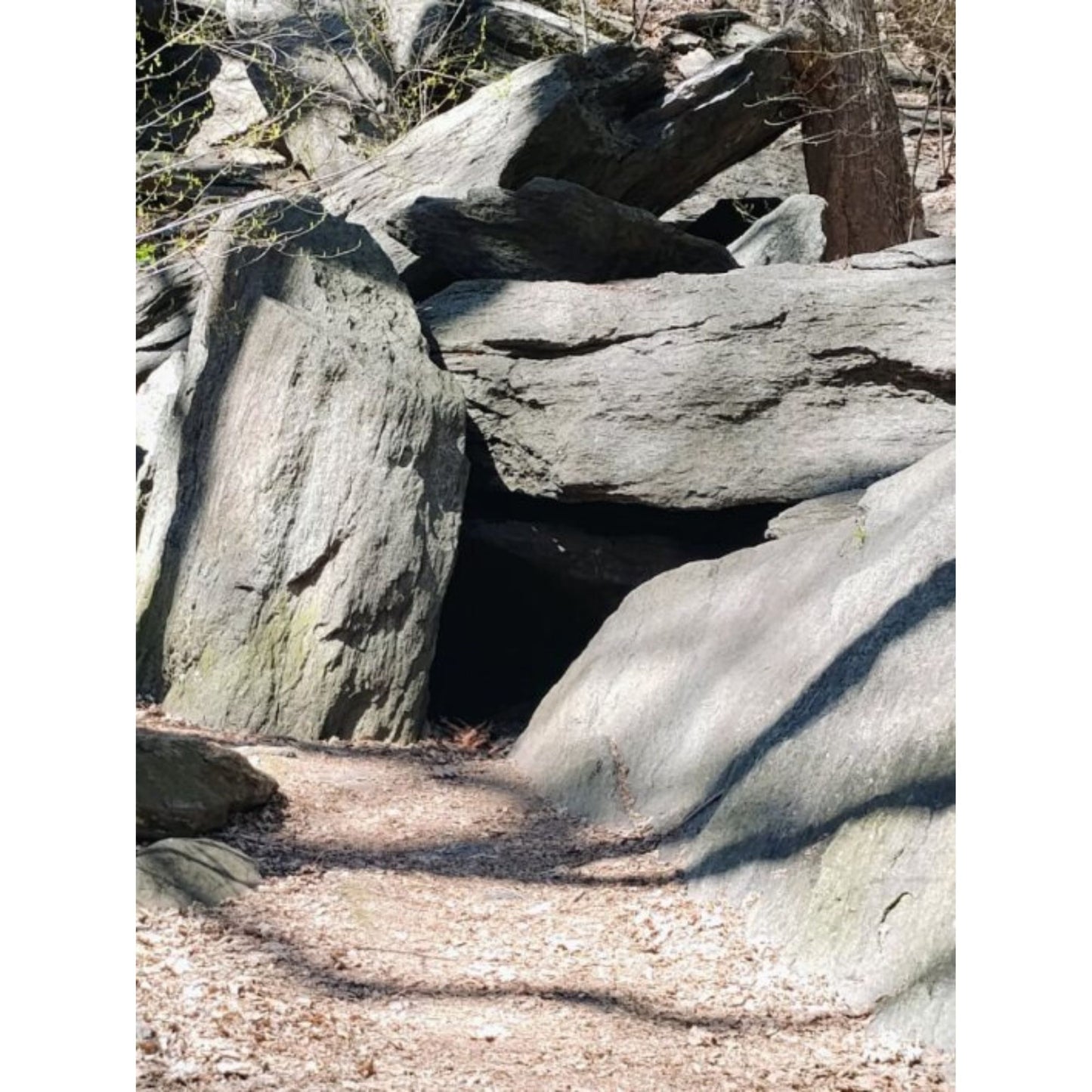The Cave by Jonathan Greer
