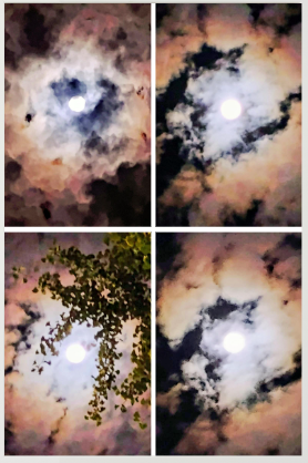 "Harvest Moon" Series by Jonathan Greer