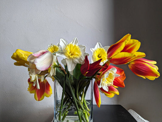 "The Tender Light" Part V by Susana Stratton