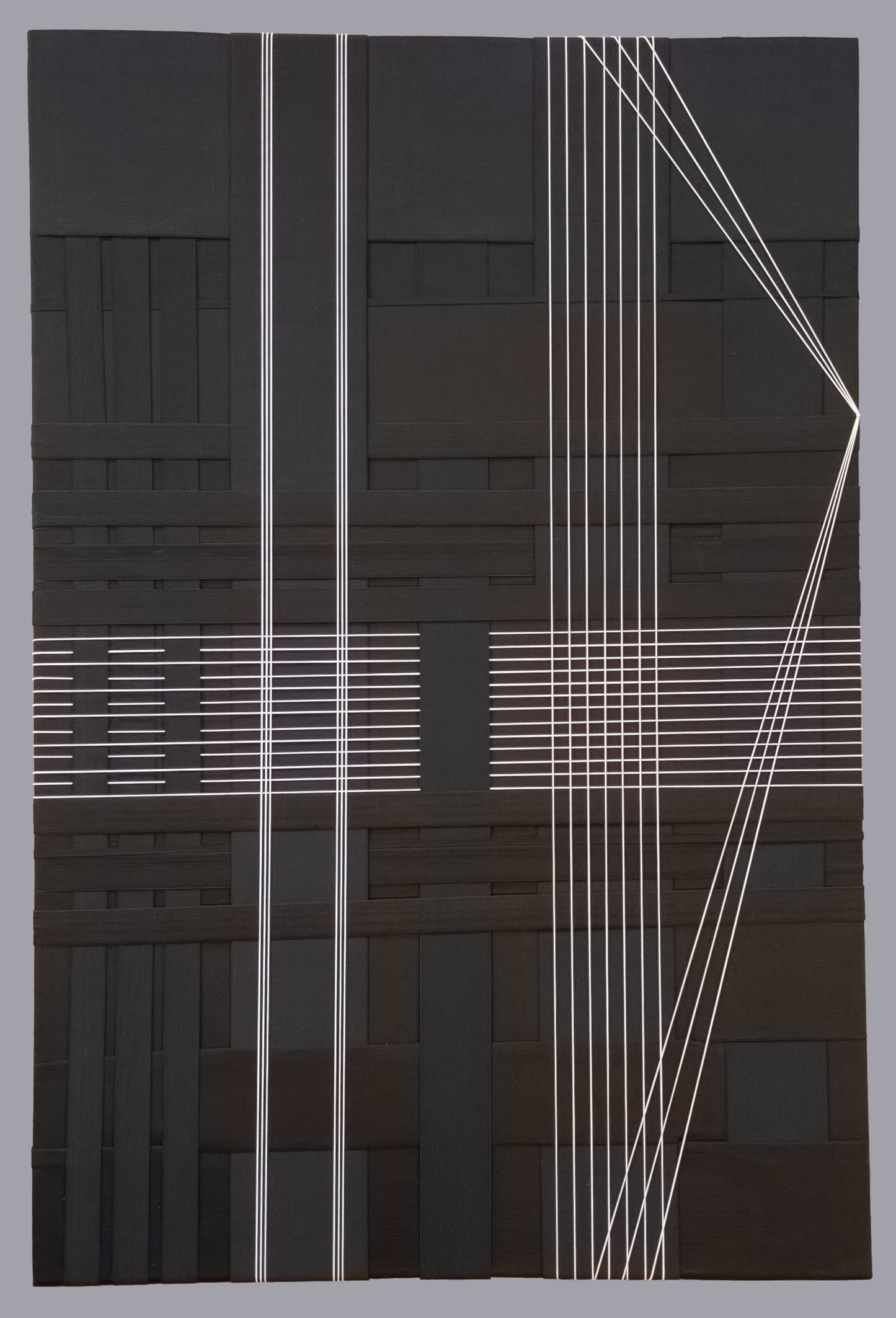 "Linear Compression" Nancy Caton