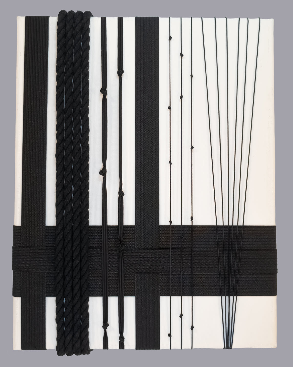 "Linear Options" Nancy Caton