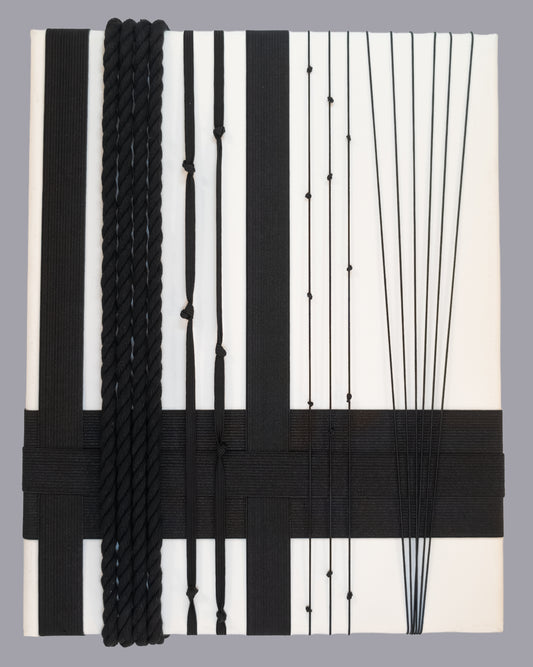 "Linear Options" Nancy Caton