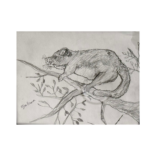 "The Rodent" Ira Brewer
