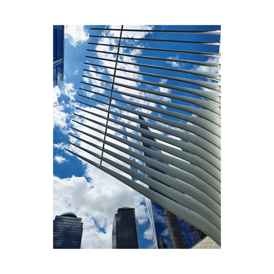 "Reaching High" by Ingrid Ortiz