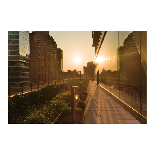 "Golden Hour at IBM" by Steven Kell