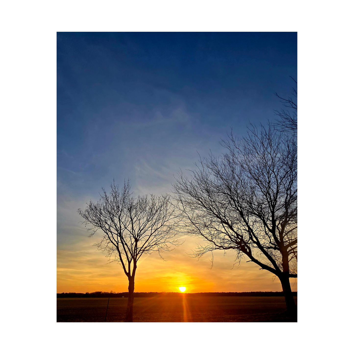 "Winter Sunset" Ingrid Ortiz