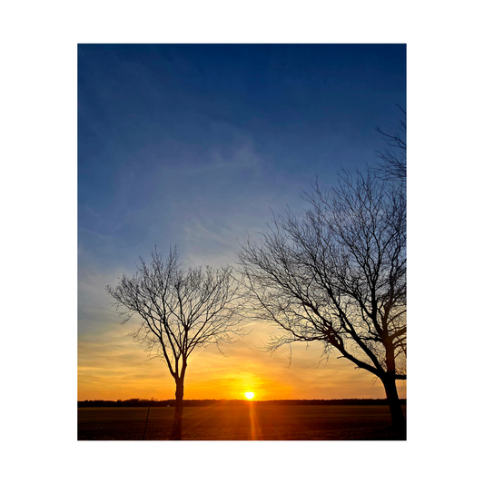 "Winter Sunset" Ingrid Ortiz